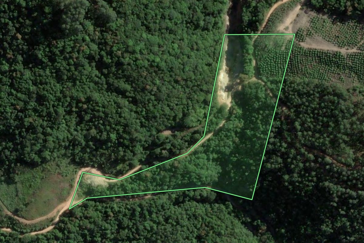 Imagem de satélite do imóvel rural em São Martinho (SC), com o contorno declarado no CAR desenhado por cima.