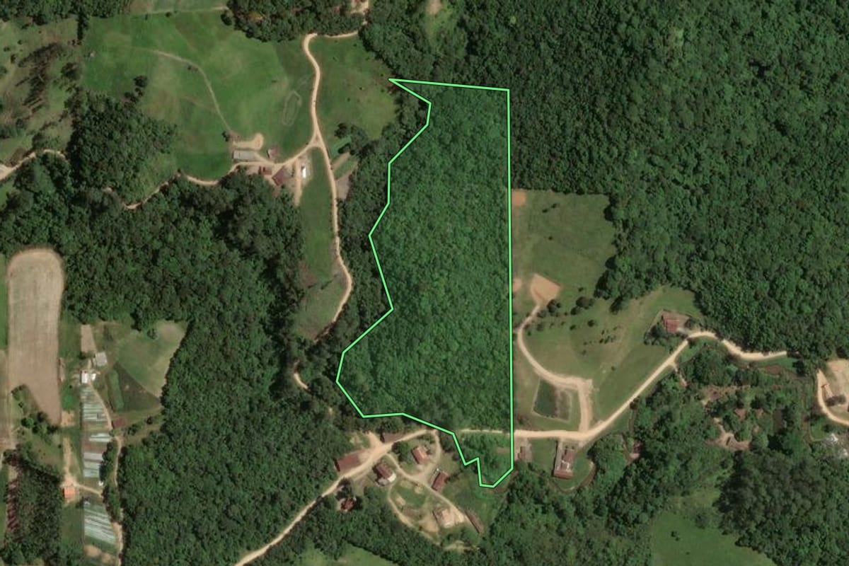 Imagem de satélite do imóvel rural em São Martinho (SC), com o contorno declarado no CAR desenhado por cima.