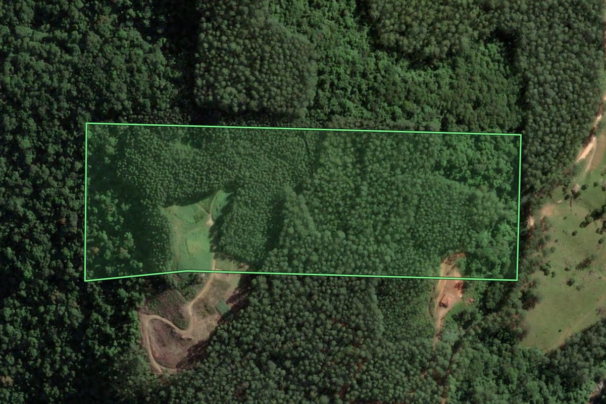 Imagem de satélite do imóvel rural em São Martinho (SC), com o contorno declarado no CAR desenhado por cima.
