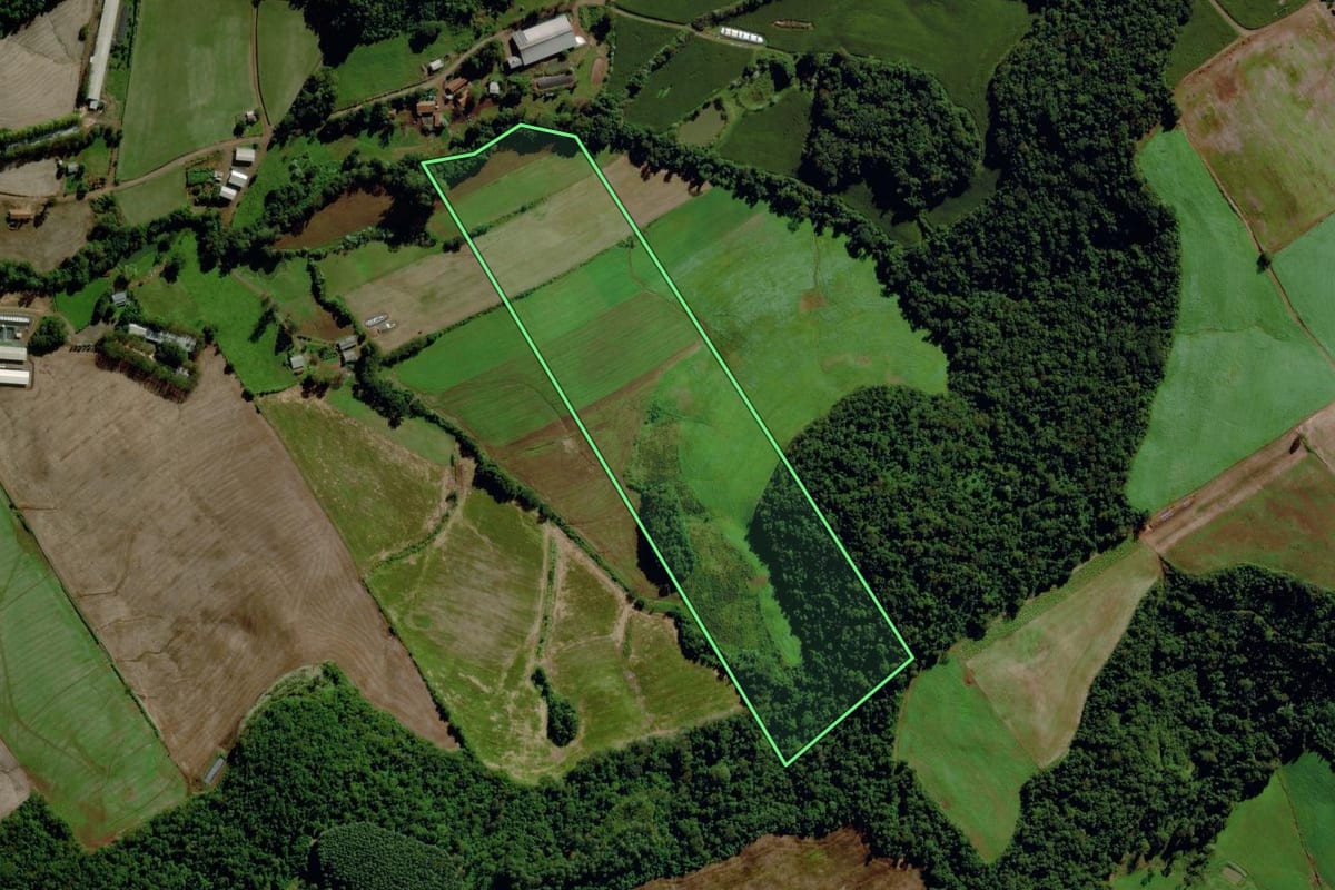 Imagem de satélite do imóvel rural em São Miguel da Boa Vista (SC), com o contorno declarado no CAR desenhado por cima.