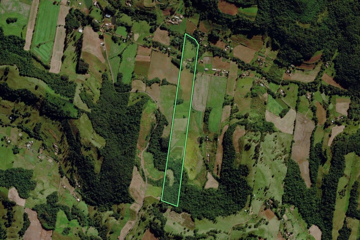Imagem de satélite do imóvel rural em São Miguel da Boa Vista (SC), com o contorno declarado no CAR desenhado por cima.
