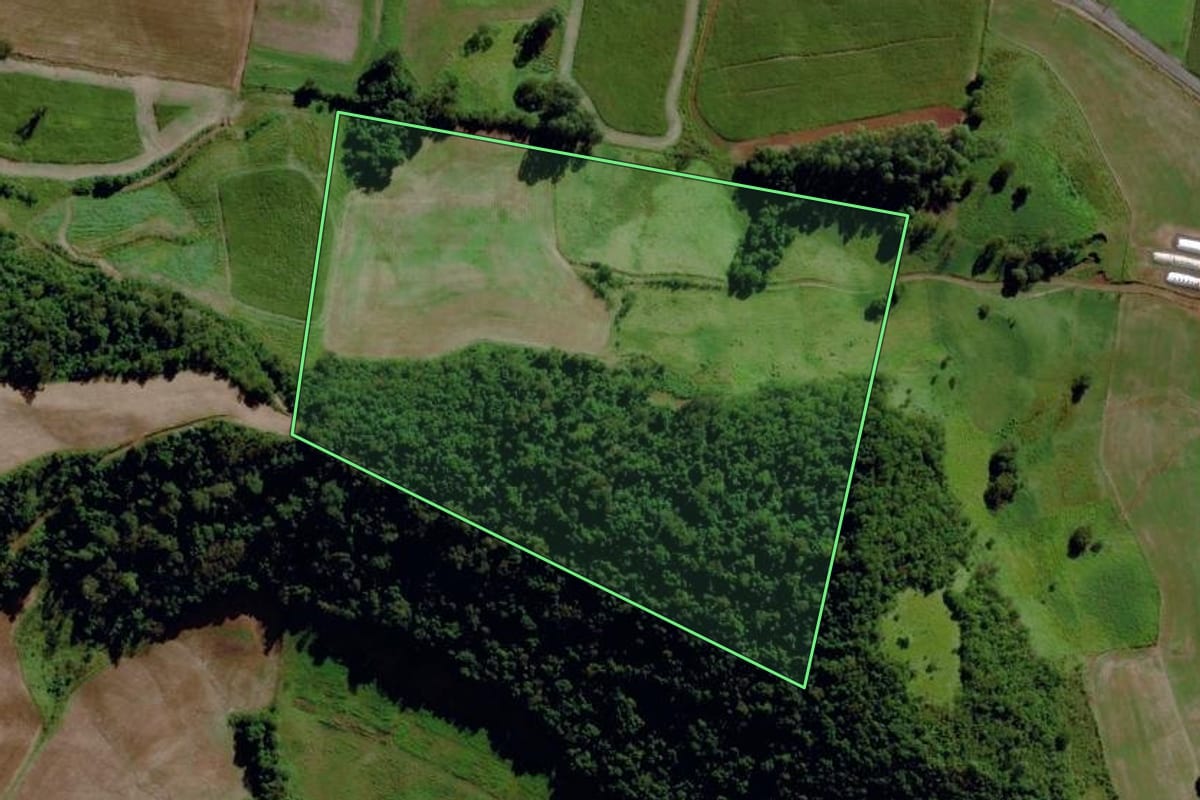Imagem de satélite do imóvel rural em São Miguel da Boa Vista (SC), com o contorno declarado no CAR desenhado por cima.