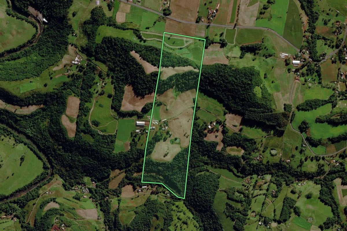 Imagem de satélite do imóvel rural em São Miguel da Boa Vista (SC), com o contorno declarado no CAR desenhado por cima.