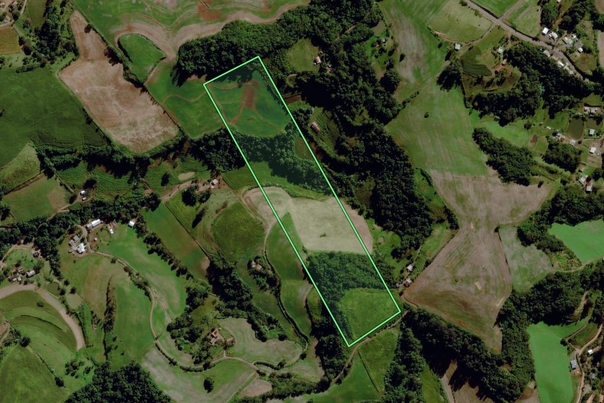 Imagem de satélite do imóvel rural em São Miguel da Boa Vista (SC), com o contorno declarado no CAR desenhado por cima.