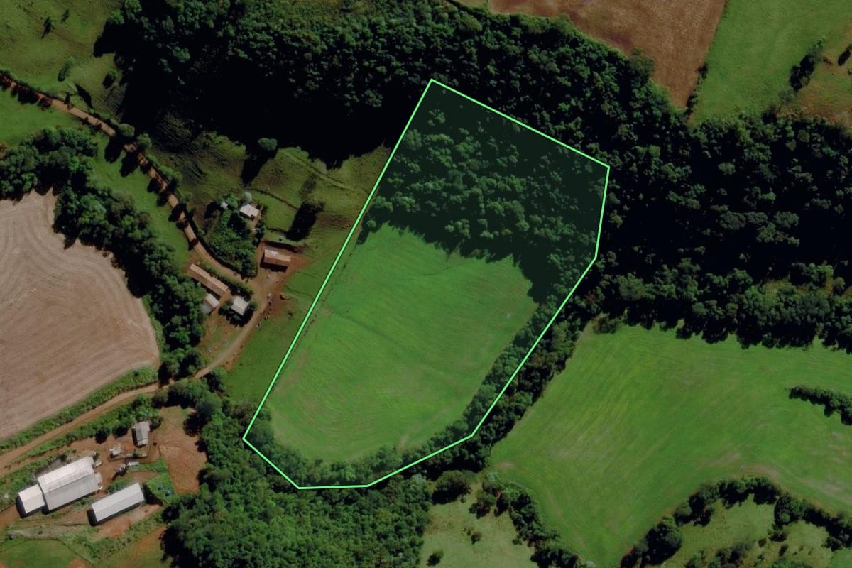 Imagem de satélite do imóvel rural em São Miguel da Boa Vista (SC), com o contorno declarado no CAR desenhado por cima.