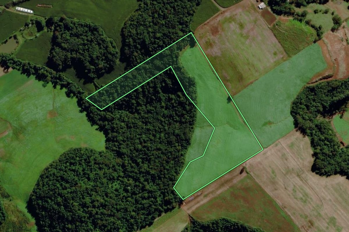 Imagem de satélite do imóvel rural em São Miguel da Boa Vista (SC), com o contorno declarado no CAR desenhado por cima.
