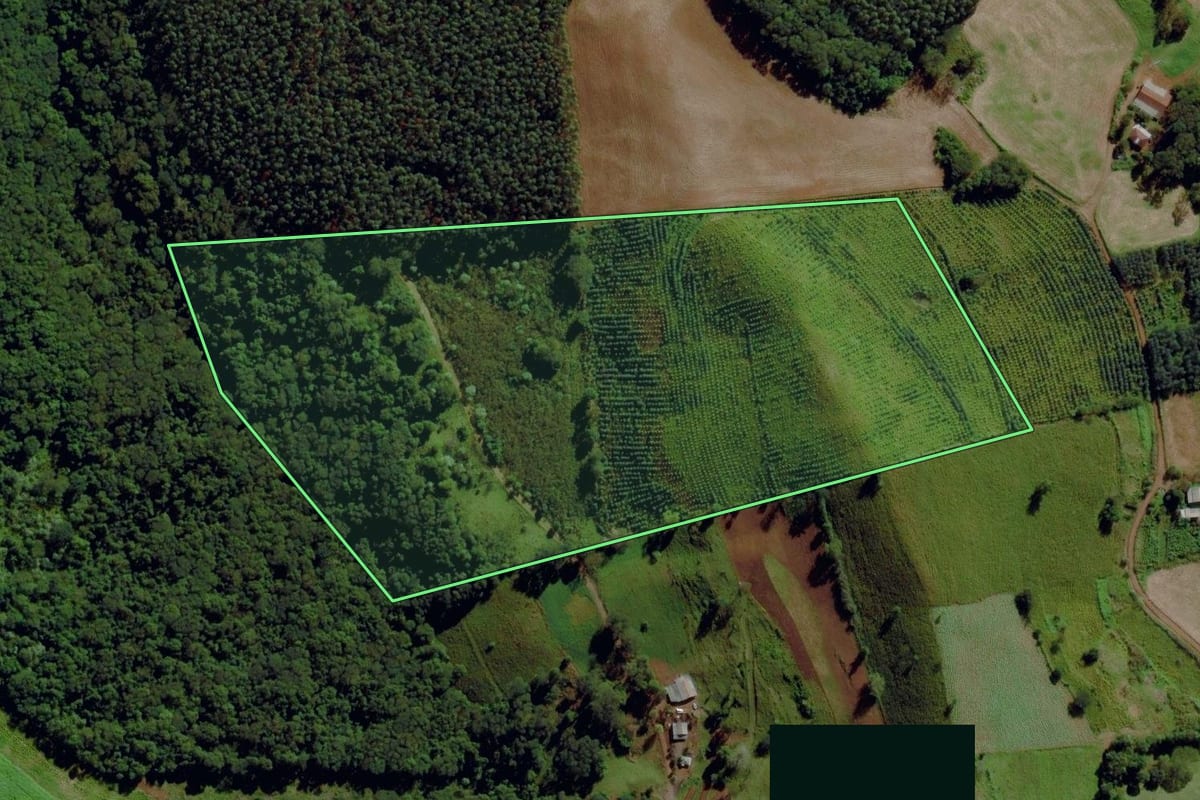 Imagem de satélite do imóvel rural em São Miguel da Boa Vista (SC), com o contorno declarado no CAR desenhado por cima.