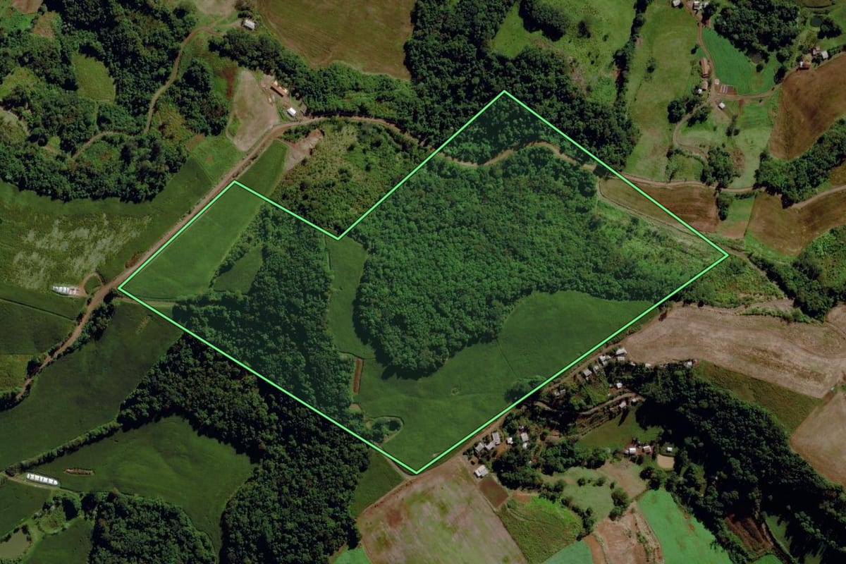 Imagem de satélite do imóvel rural em São Miguel da Boa Vista (SC), com o contorno declarado no CAR desenhado por cima.