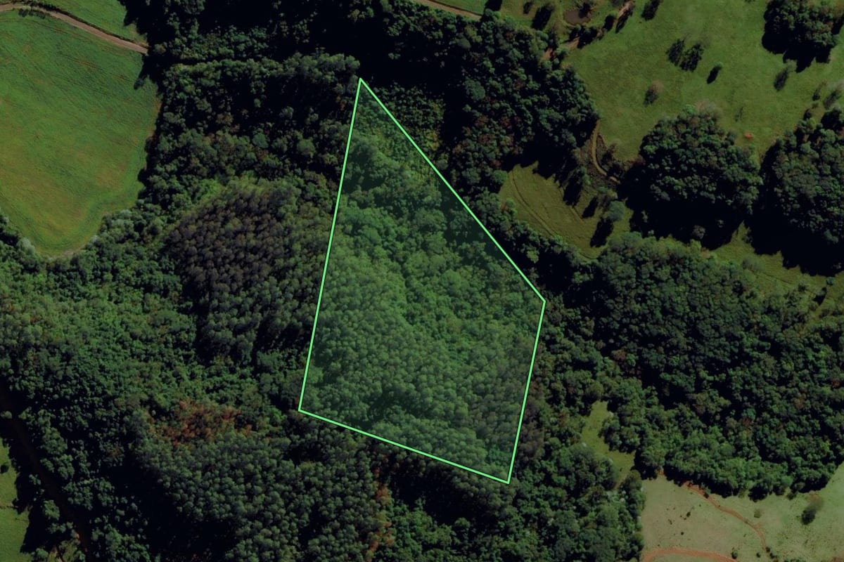 Imagem de satélite do imóvel rural em São Miguel da Boa Vista (SC), com o contorno declarado no CAR desenhado por cima.