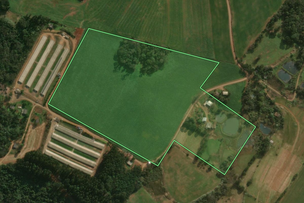 Imagem de satélite do imóvel rural em São Miguel do Oeste (SC), com o contorno declarado no CAR desenhado por cima.