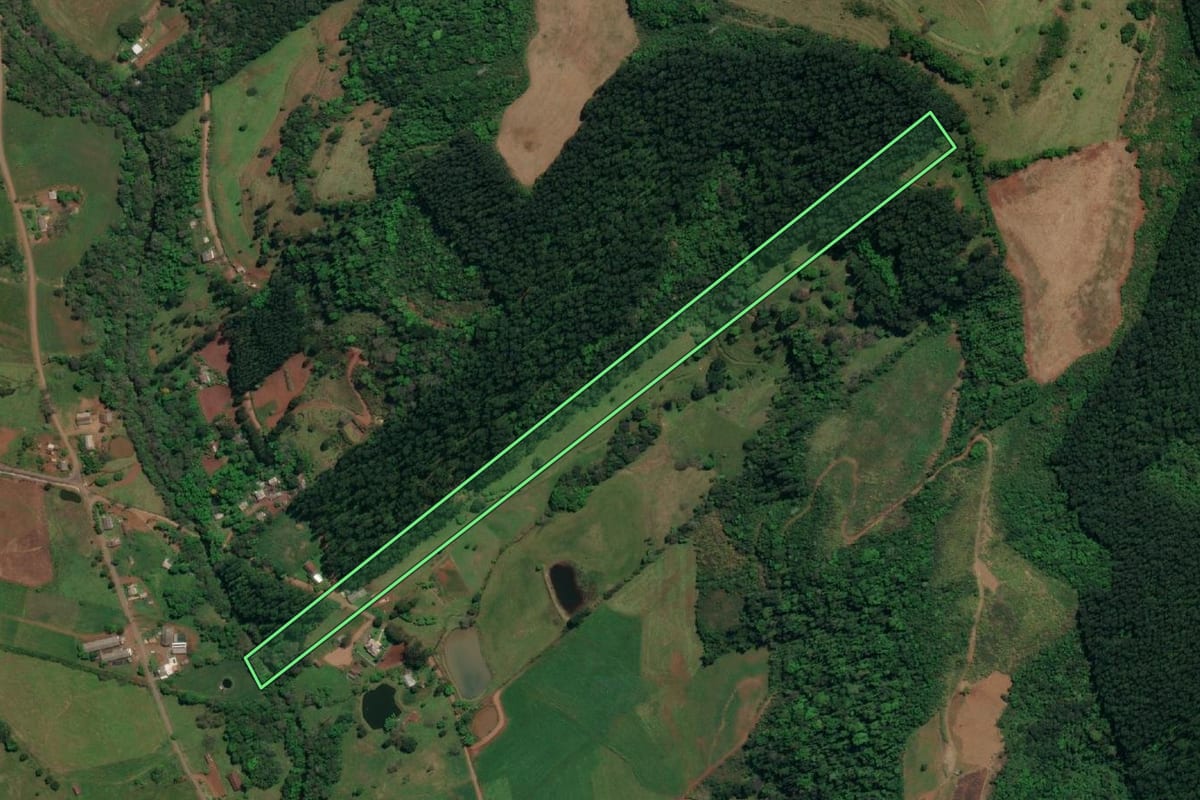 Imagem de satélite do imóvel rural em São Miguel do Oeste (SC), com o contorno declarado no CAR desenhado por cima.