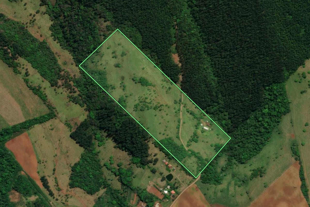 Imagem de satélite do imóvel rural em São Miguel do Oeste (SC), com o contorno declarado no CAR desenhado por cima.