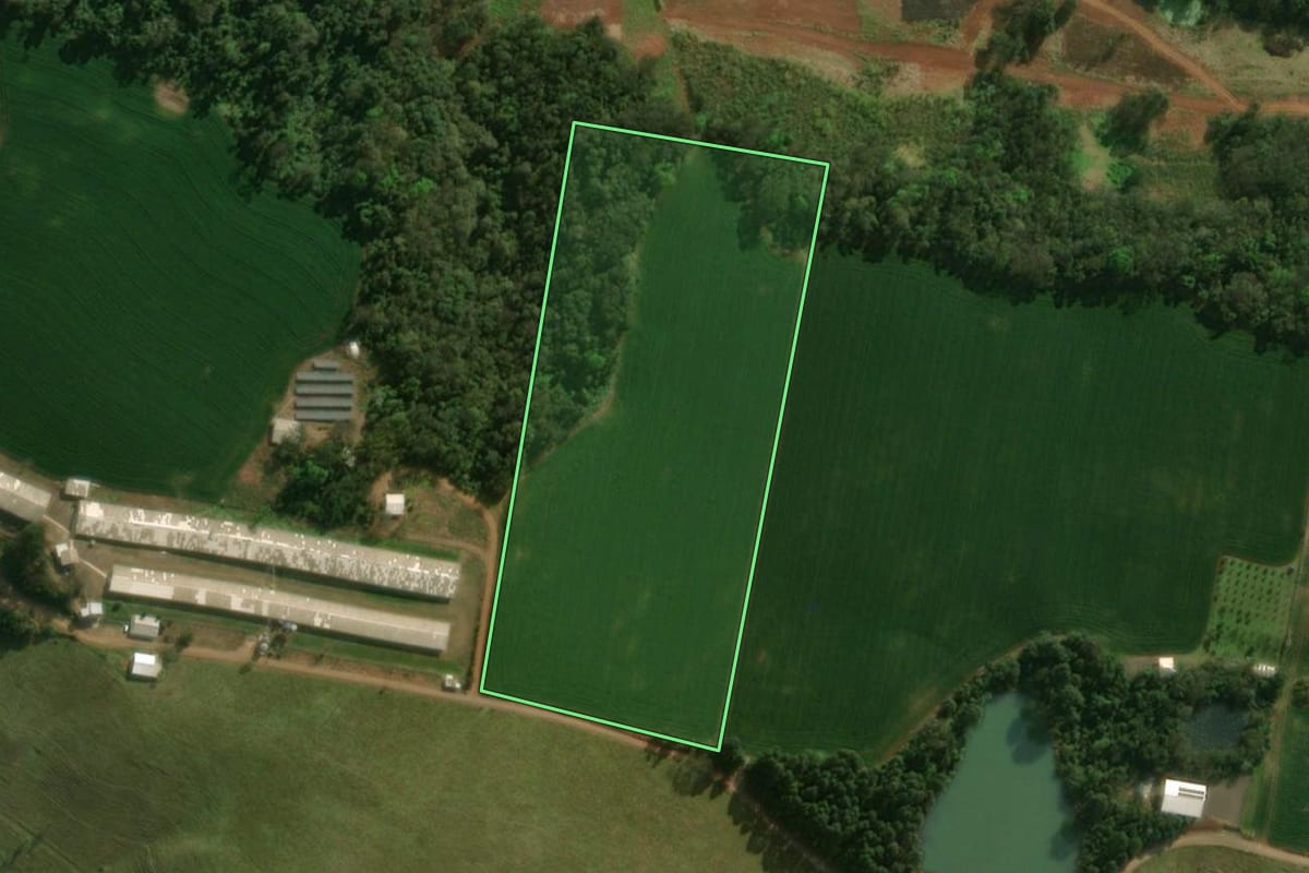 Imagem de satélite do imóvel rural em São Miguel do Oeste (SC), com o contorno declarado no CAR desenhado por cima.