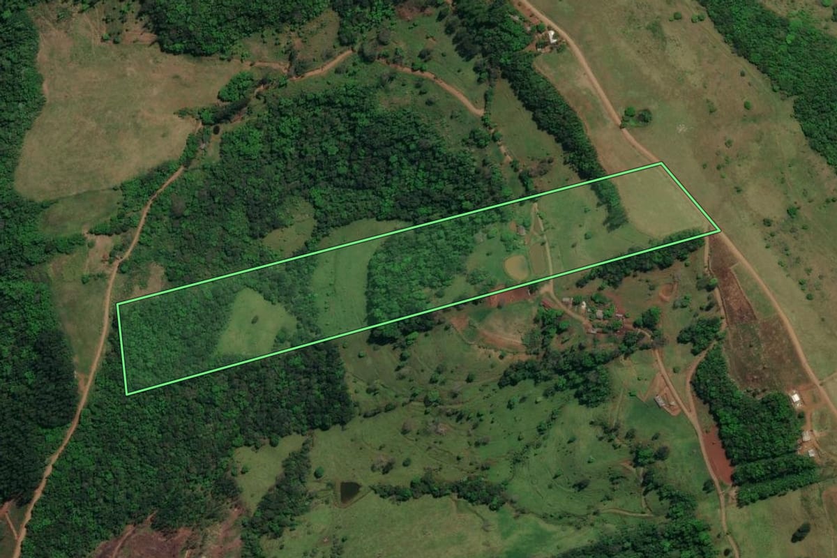 Imagem de satélite do imóvel rural em São Miguel do Oeste (SC), com o contorno declarado no CAR desenhado por cima.