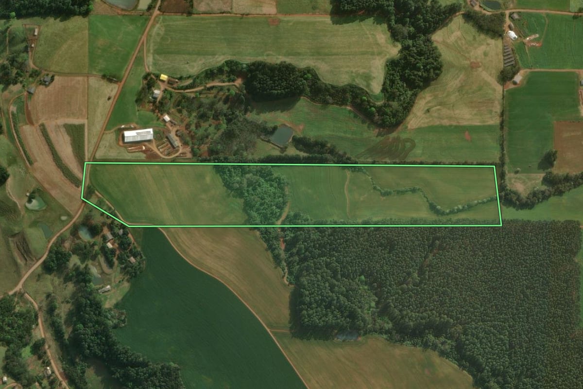 Imagem de satélite do imóvel rural em São Miguel do Oeste (SC), com o contorno declarado no CAR desenhado por cima.