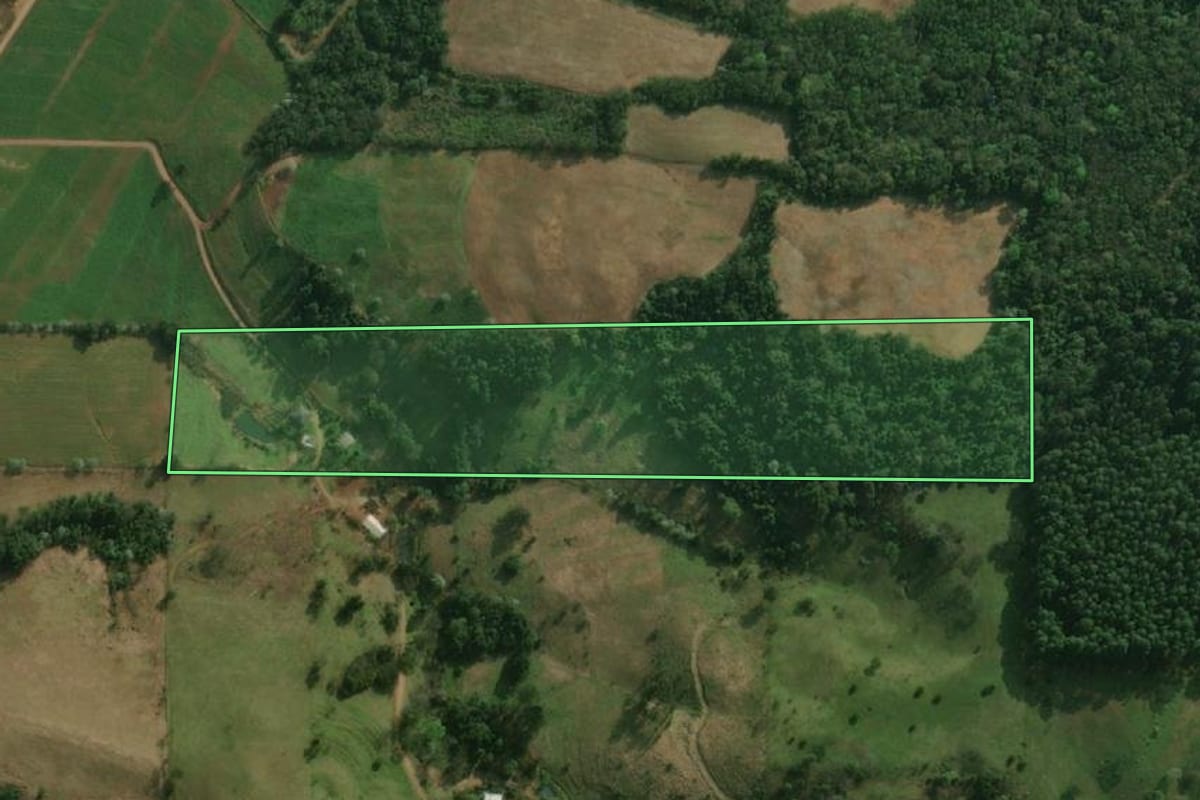 Imagem de satélite do imóvel rural em São Miguel do Oeste (SC), com o contorno declarado no CAR desenhado por cima.