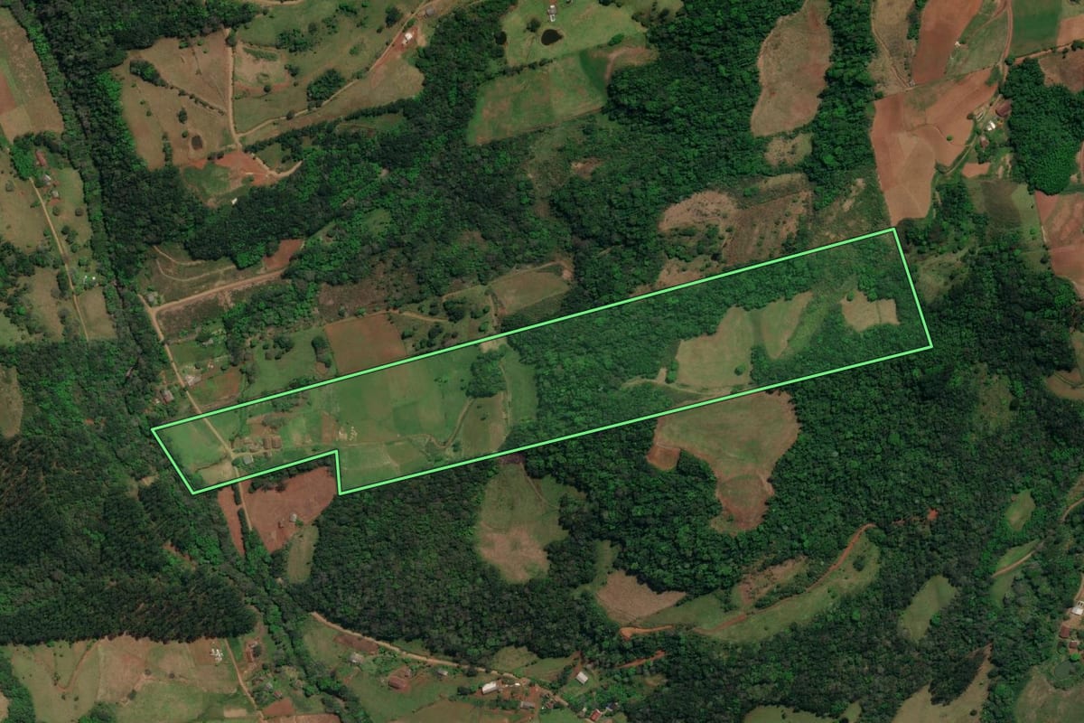 Imagem de satélite do imóvel rural em São Miguel do Oeste (SC), com o contorno declarado no CAR desenhado por cima.