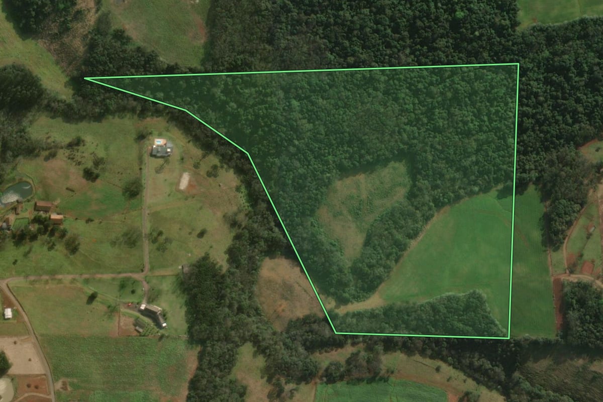 Imagem de satélite do imóvel rural em São Miguel do Oeste (SC), com o contorno declarado no CAR desenhado por cima.