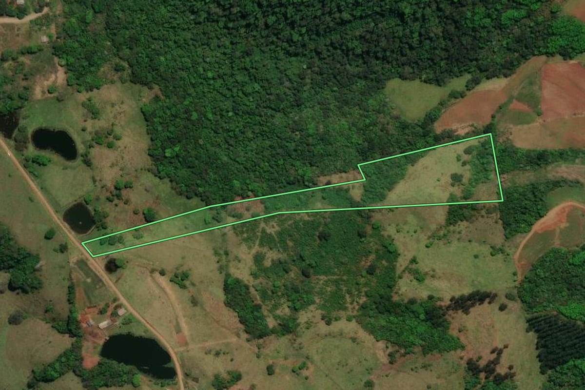 Imagem de satélite do imóvel rural em São Miguel do Oeste (SC), com o contorno declarado no CAR desenhado por cima.