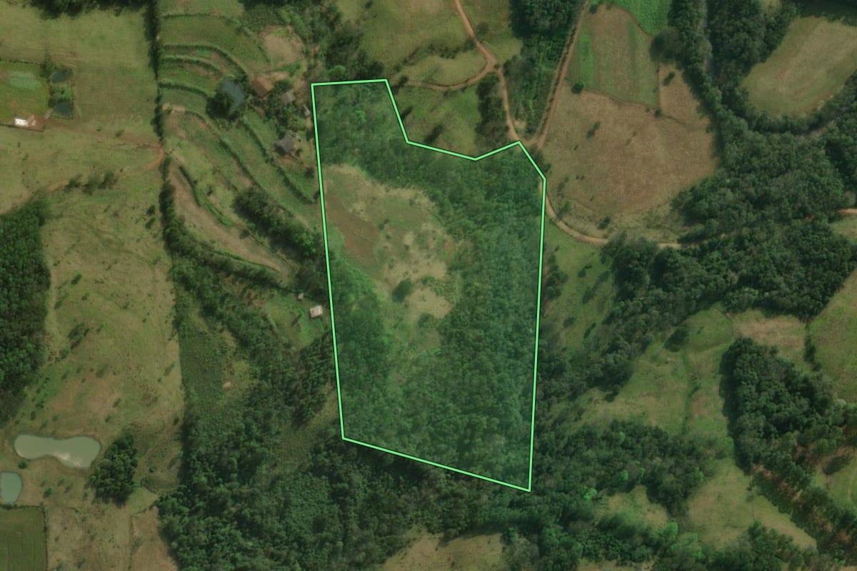 Imagem de satélite do imóvel rural em São Miguel do Oeste (SC), com o contorno declarado no CAR desenhado por cima.