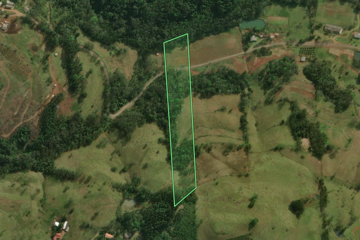 Imagem de satélite do imóvel rural em São Miguel do Oeste (SC), com o contorno declarado no CAR desenhado por cima.
