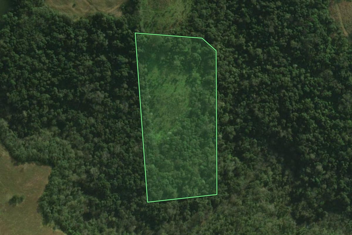 Imagem de satélite do imóvel rural em São Miguel do Oeste (SC), com o contorno declarado no CAR desenhado por cima.