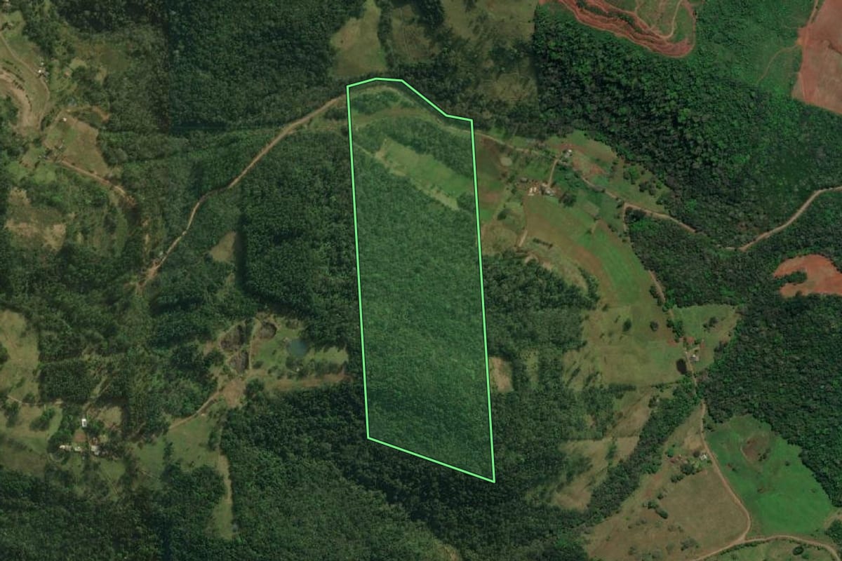 Imagem de satélite do imóvel rural em São Miguel do Oeste (SC), com o contorno declarado no CAR desenhado por cima.