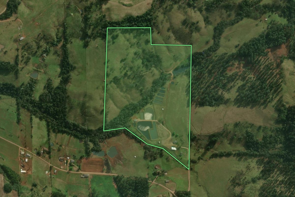Imagem de satélite do imóvel rural em São Miguel do Oeste (SC), com o contorno declarado no CAR desenhado por cima.