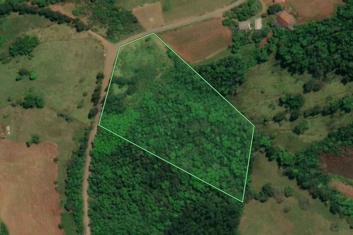 Imagem de satélite do imóvel rural em São Miguel do Oeste (SC), com o contorno declarado no CAR desenhado por cima.