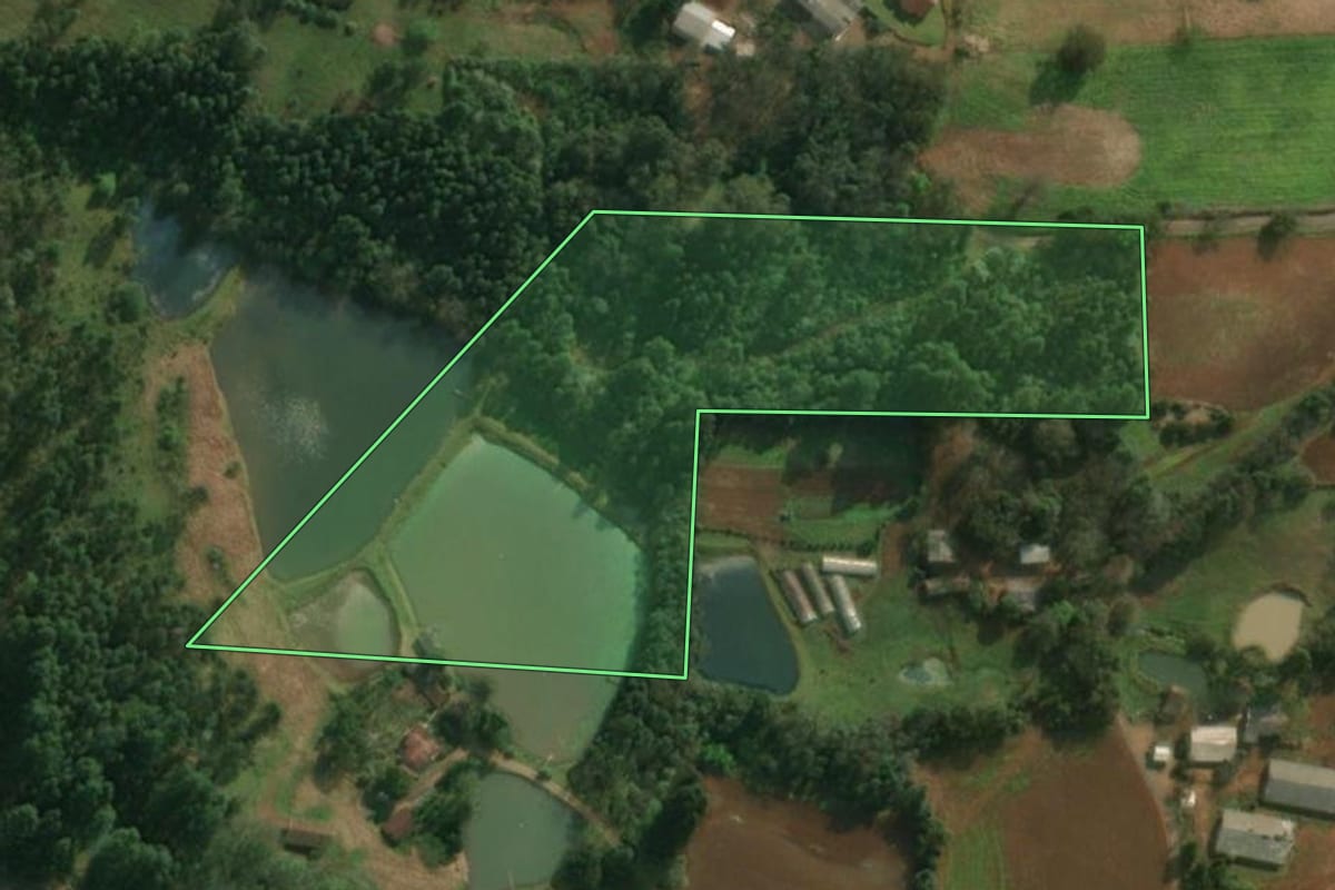Imagem de satélite do imóvel rural em São Miguel do Oeste (SC), com o contorno declarado no CAR desenhado por cima.