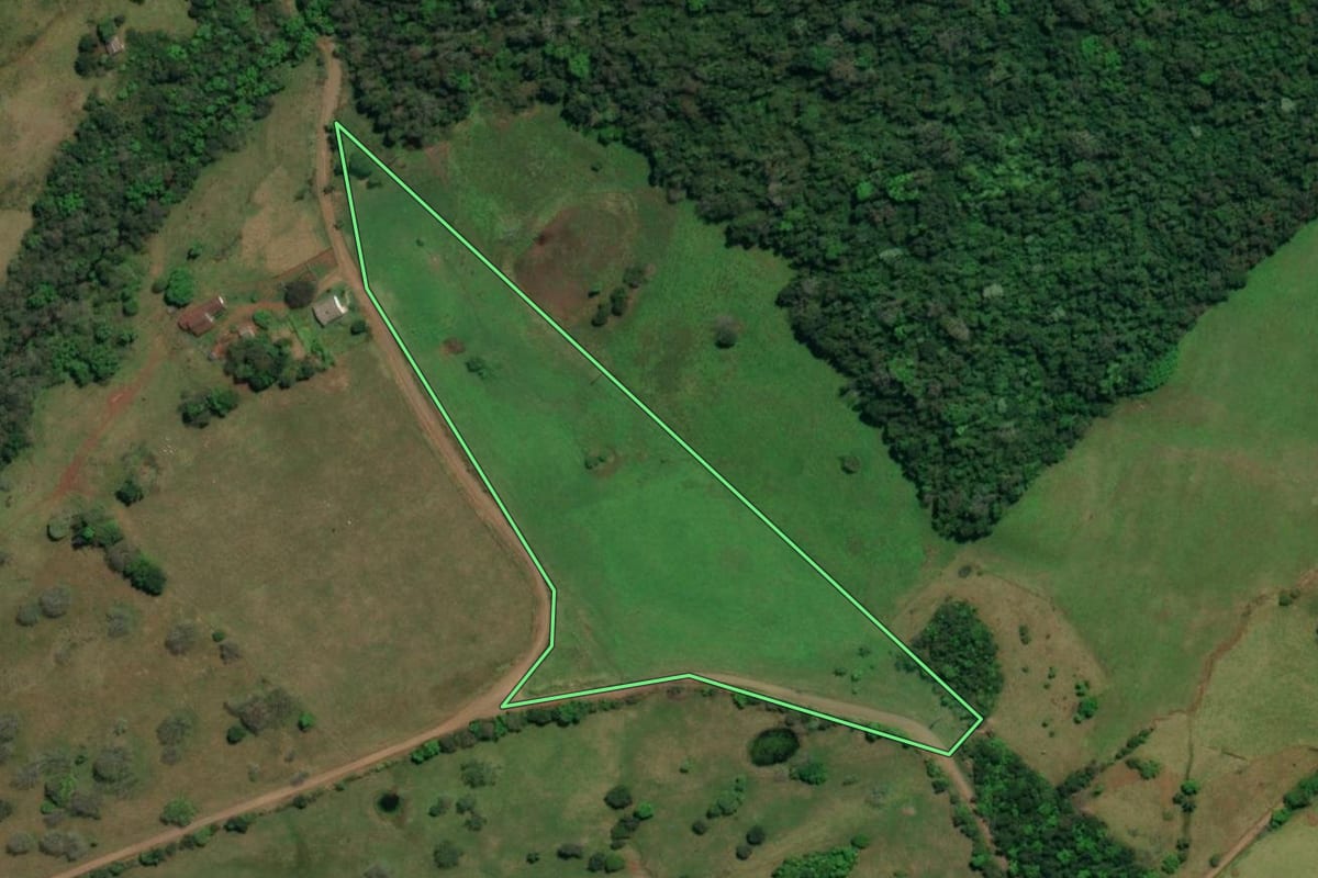 Imagem de satélite do imóvel rural em São Miguel do Oeste (SC), com o contorno declarado no CAR desenhado por cima.