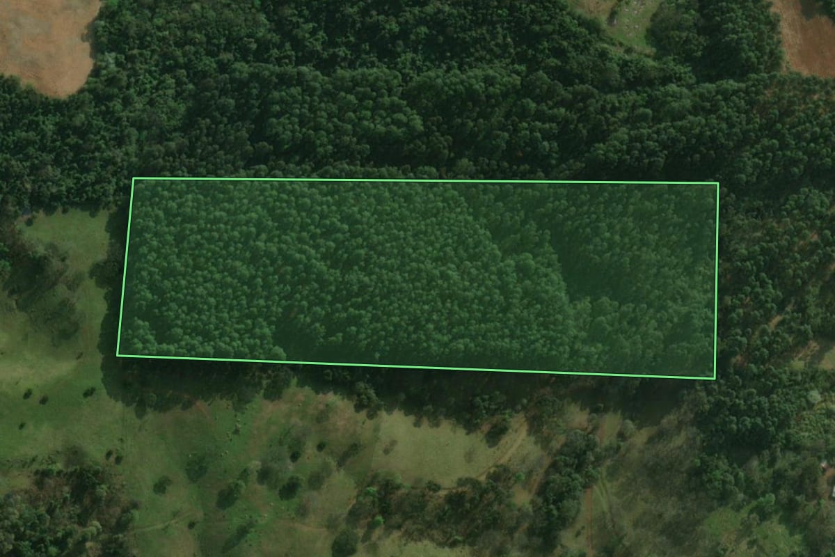 Imagem de satélite do imóvel rural em São Miguel do Oeste (SC), com o contorno declarado no CAR desenhado por cima.
