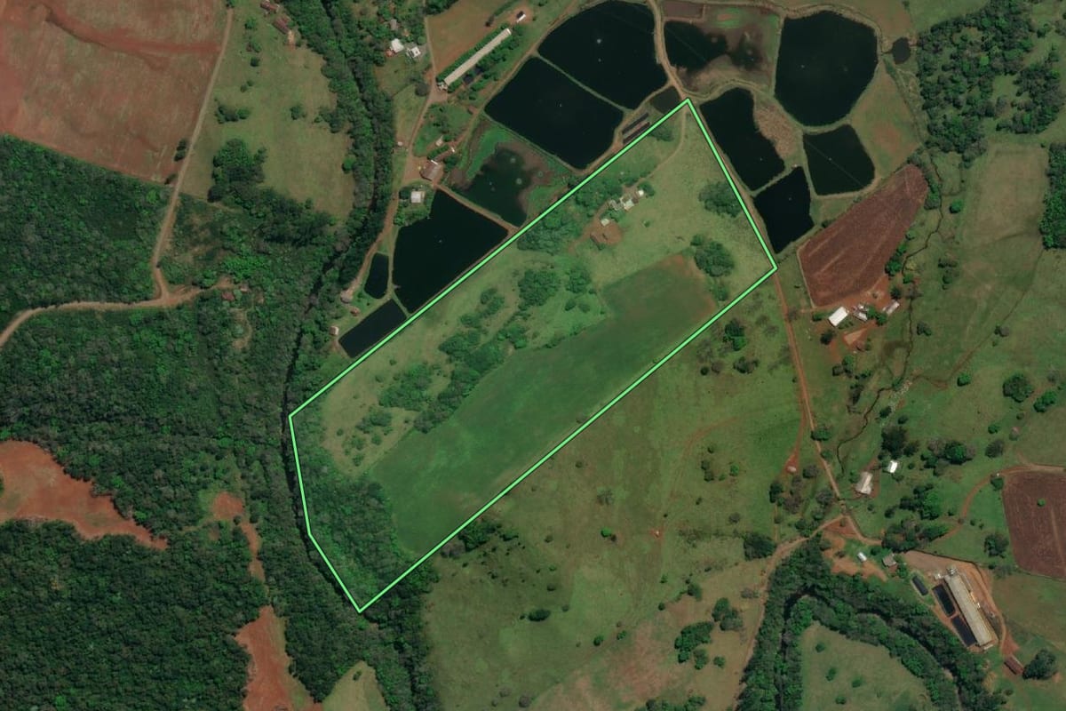 Imagem de satélite do imóvel rural em São Miguel do Oeste (SC), com o contorno declarado no CAR desenhado por cima.