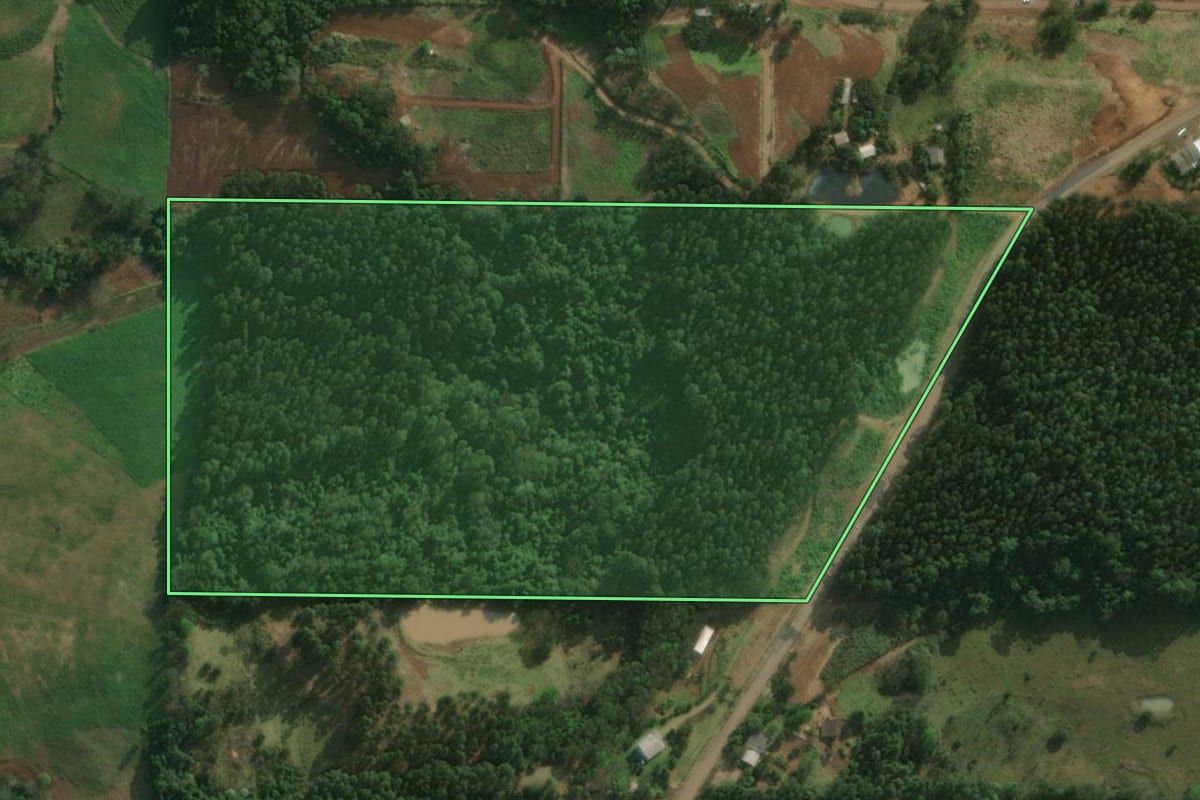 Imagem de satélite do imóvel rural em São Miguel do Oeste (SC), com o contorno declarado no CAR desenhado por cima.