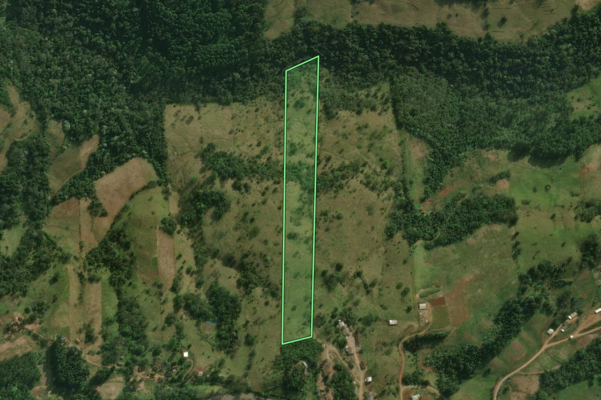 Imagem de satélite do imóvel rural em São Miguel do Oeste (SC), com o contorno declarado no CAR desenhado por cima.