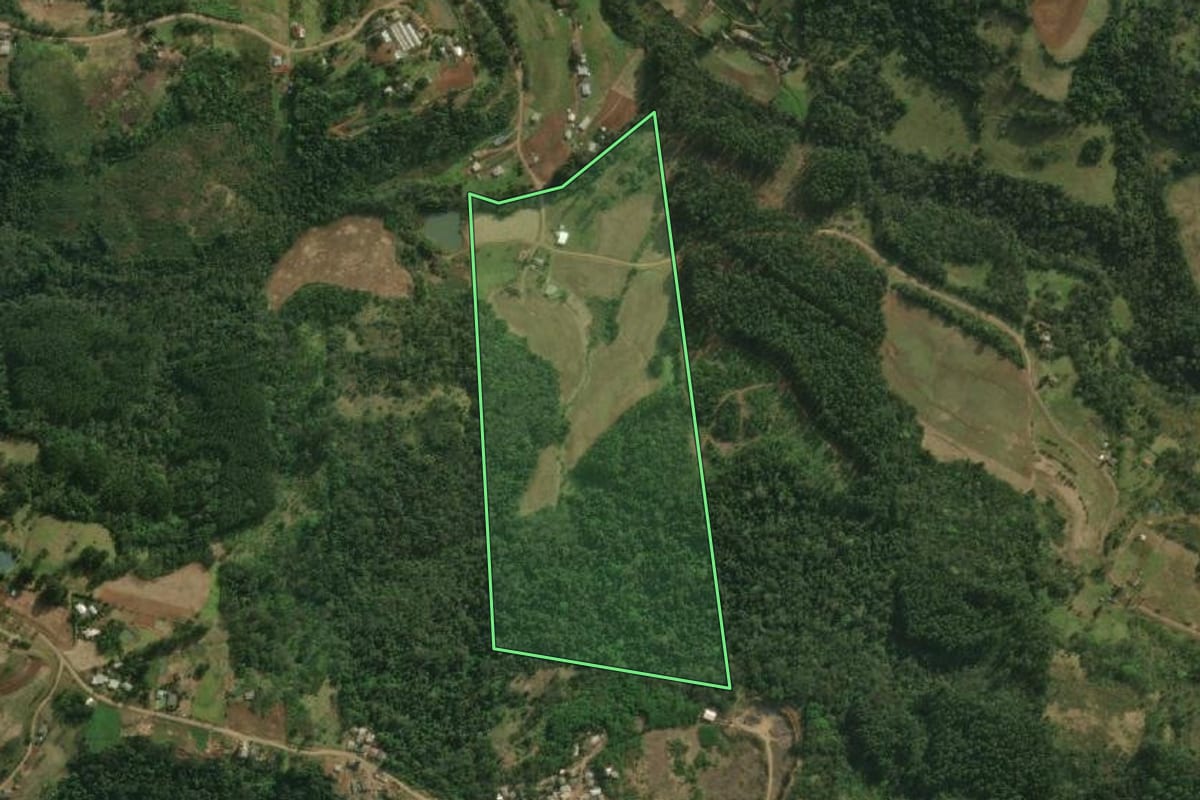 Imagem de satélite do imóvel rural em São Miguel do Oeste (SC), com o contorno declarado no CAR desenhado por cima.