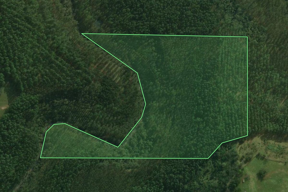 Imagem de satélite do imóvel rural em São Miguel do Oeste (SC), com o contorno declarado no CAR desenhado por cima.