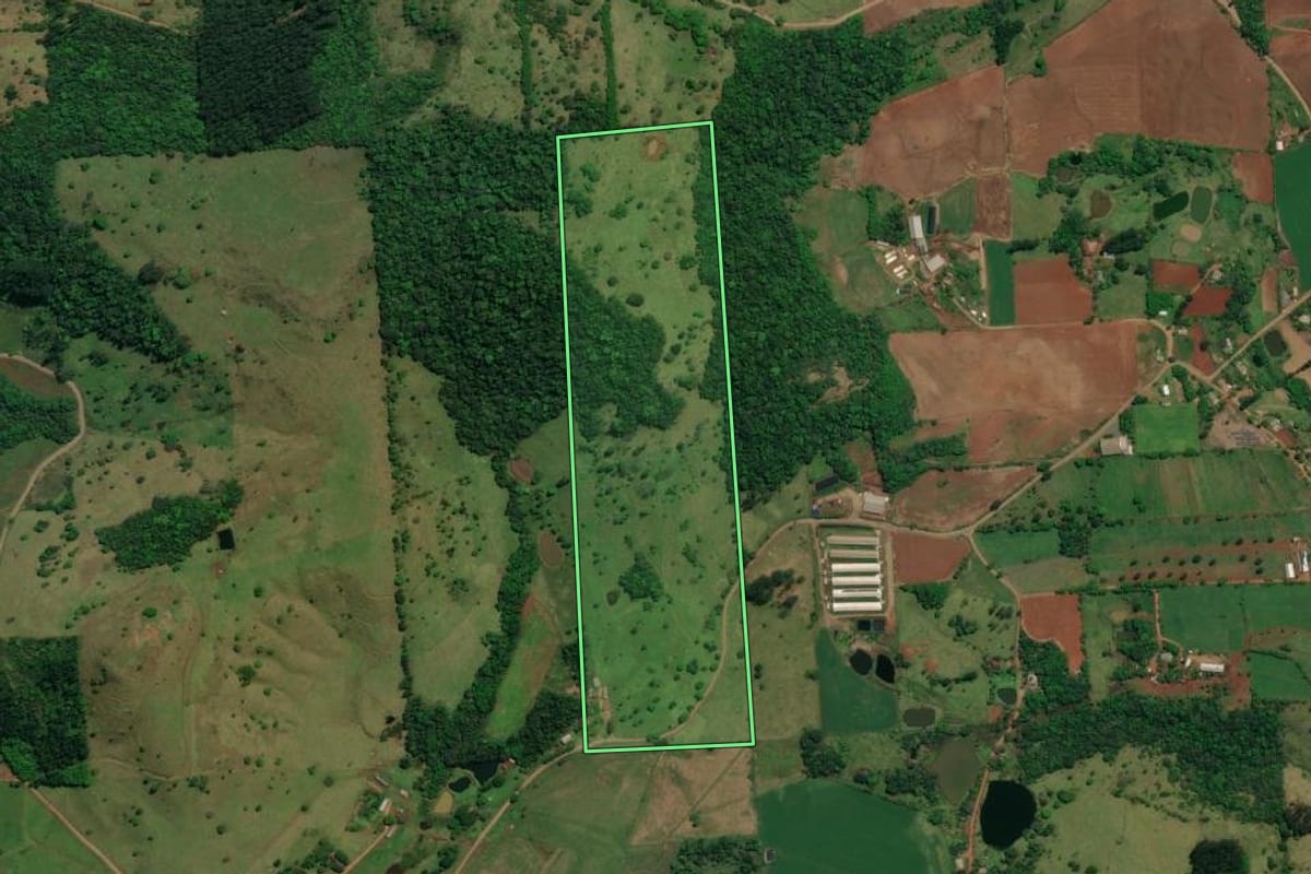 Imagem de satélite do imóvel rural em São Miguel do Oeste (SC), com o contorno declarado no CAR desenhado por cima.