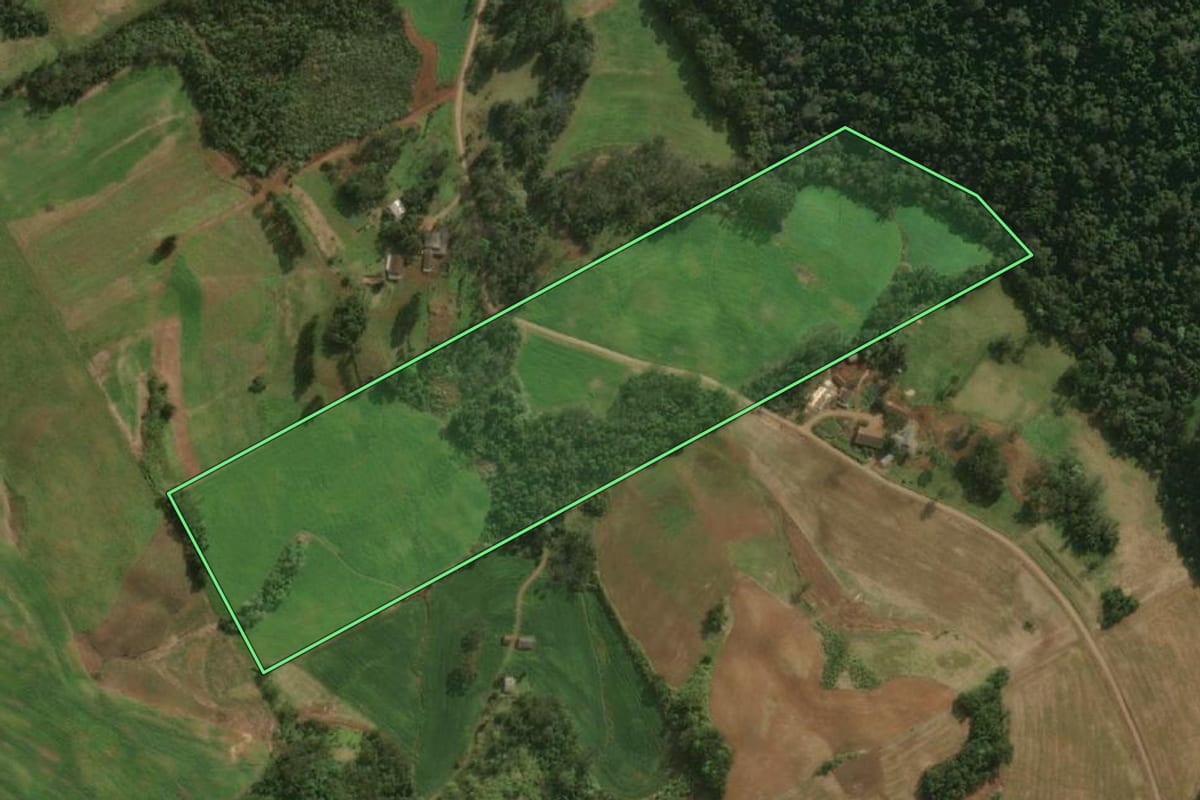 Imagem de satélite do imóvel rural em São Miguel do Oeste (SC), com o contorno declarado no CAR desenhado por cima.
