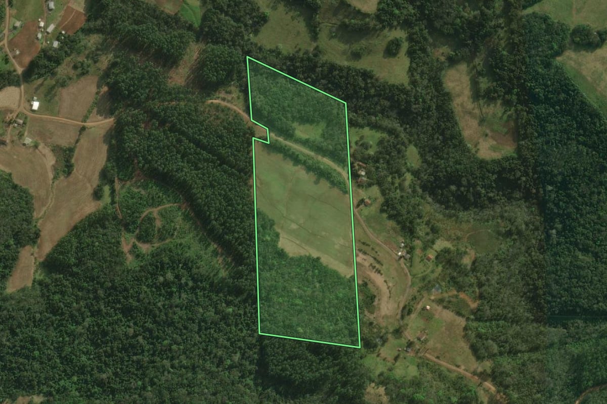 Imagem de satélite do imóvel rural em São Miguel do Oeste (SC), com o contorno declarado no CAR desenhado por cima.
