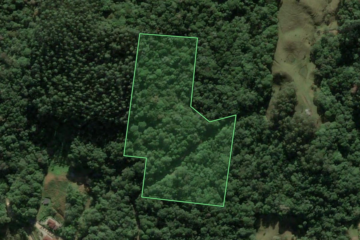 Imagem de satélite do imóvel rural em São Pedro de Alcântara (SC), com o contorno declarado no CAR desenhado por cima.