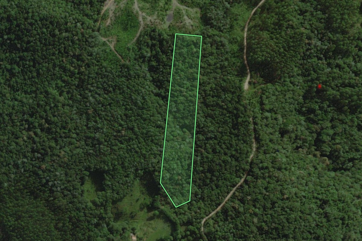 Imagem de satélite do imóvel rural em São Pedro de Alcântara (SC), com o contorno declarado no CAR desenhado por cima.