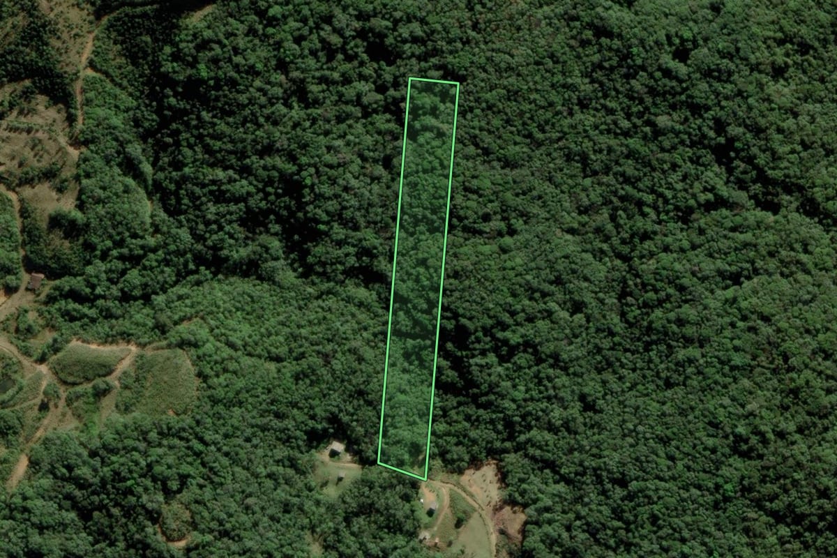Imagem de satélite do imóvel rural em São Pedro de Alcântara (SC), com o contorno declarado no CAR desenhado por cima.