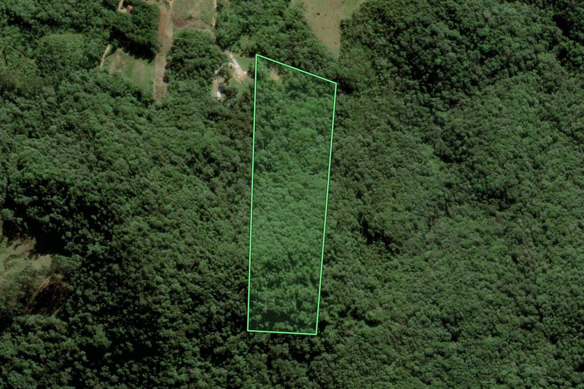 Imagem de satélite do imóvel rural em São Pedro de Alcântara (SC), com o contorno declarado no CAR desenhado por cima.