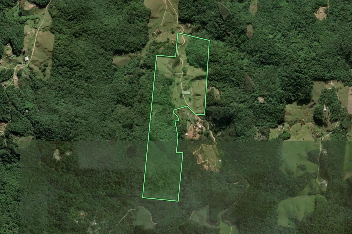 Imagem de satélite do imóvel rural em São Pedro de Alcântara (SC), com o contorno declarado no CAR desenhado por cima.