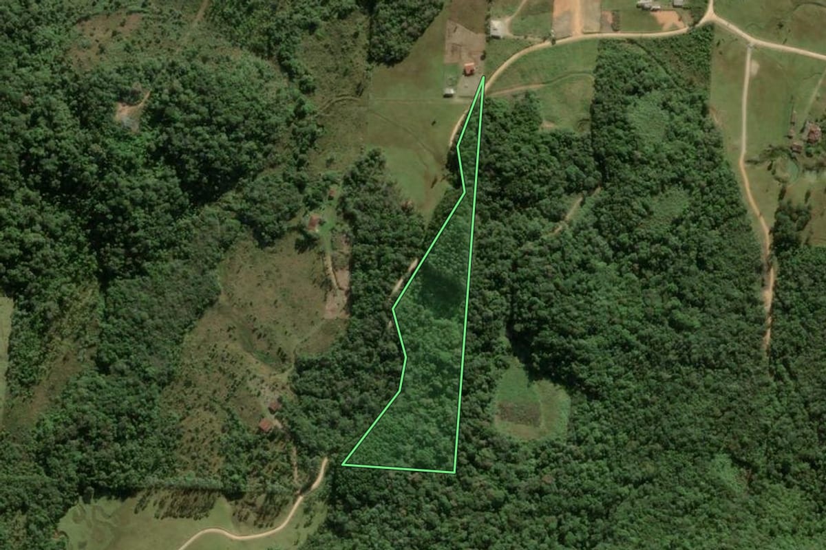 Imagem de satélite do imóvel rural em São Pedro de Alcântara (SC), com o contorno declarado no CAR desenhado por cima.