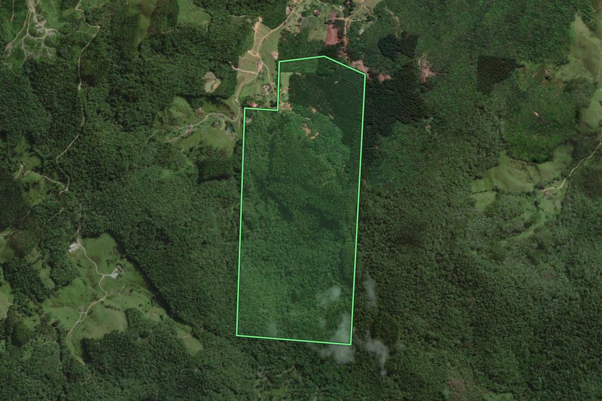 Imagem de satélite do imóvel rural em São Pedro de Alcântara (SC), com o contorno declarado no CAR desenhado por cima.