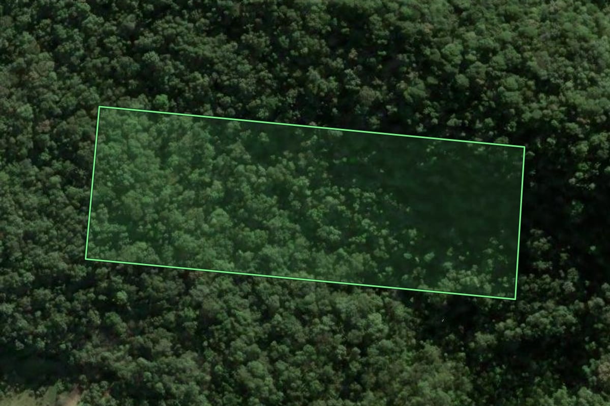 Imagem de satélite do imóvel rural em São Pedro de Alcântara (SC), com o contorno declarado no CAR desenhado por cima.