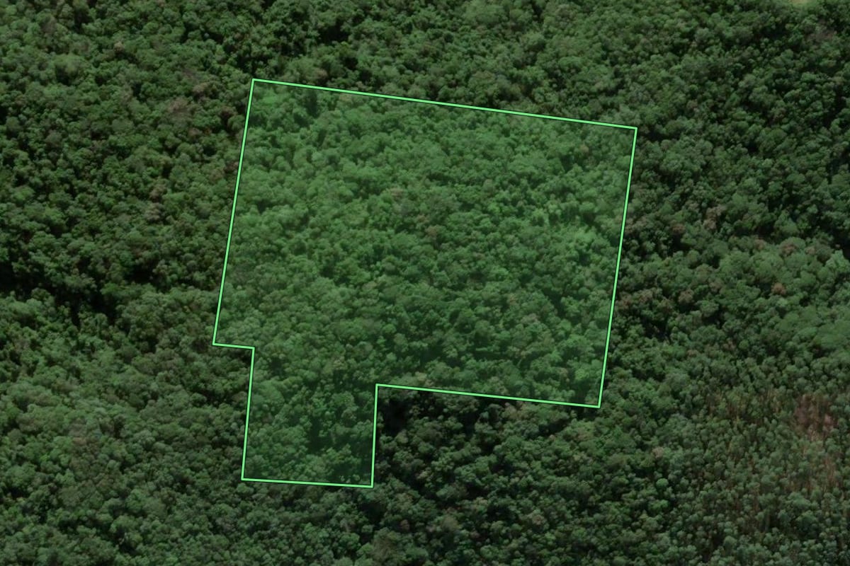 Imagem de satélite do imóvel rural em São Pedro de Alcântara (SC), com o contorno declarado no CAR desenhado por cima.