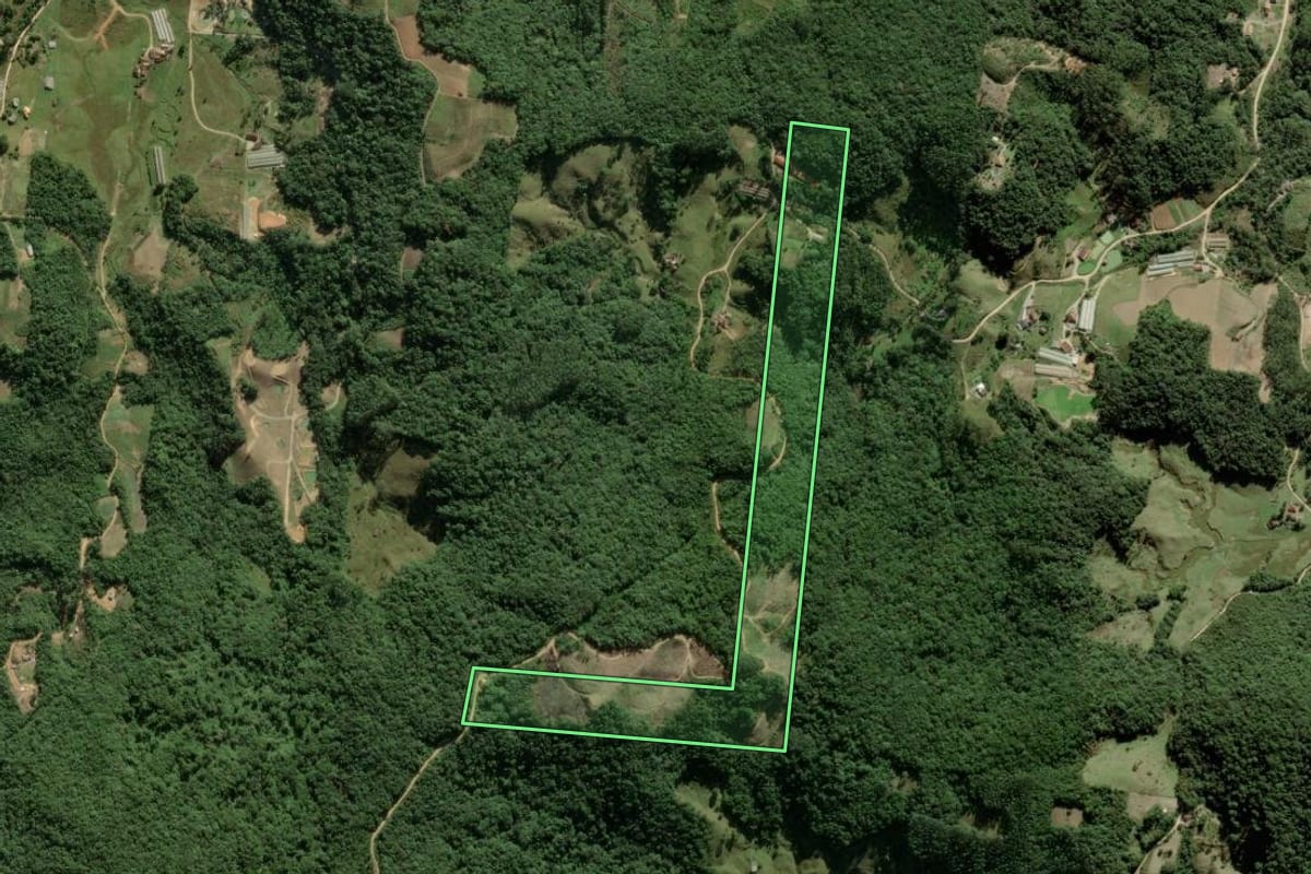 Imagem de satélite do imóvel rural em São Pedro de Alcântara (SC), com o contorno declarado no CAR desenhado por cima.